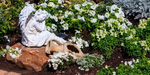 Creating a Memory Garden: Honoring Loved Ones with Plants